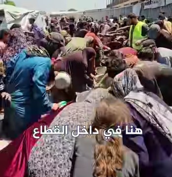 Ribuan warga Palestina di Gaza mengantre bantuan makanan di tengah bencana kelaparan yang dihadapi. [Instagram]